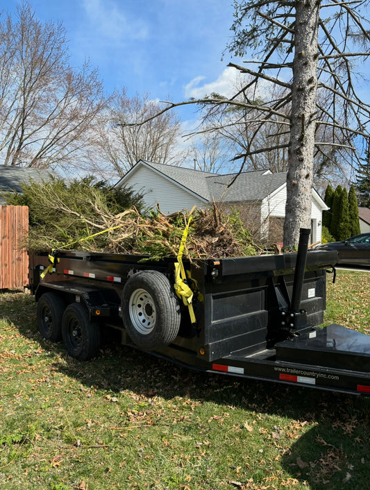 Junk Removal Service